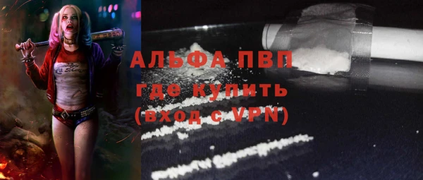 шишки Алексин